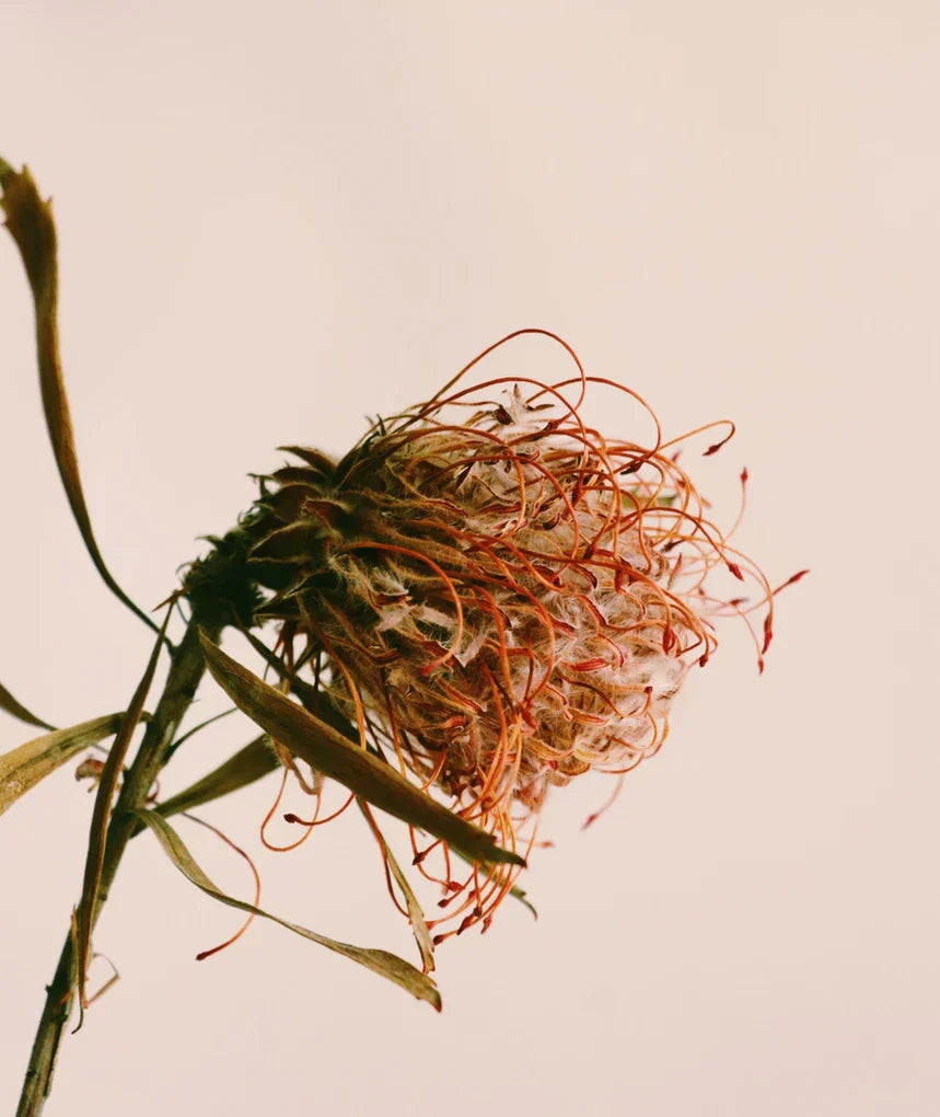 article-banner-image